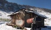نیمرخ شمالی البرز