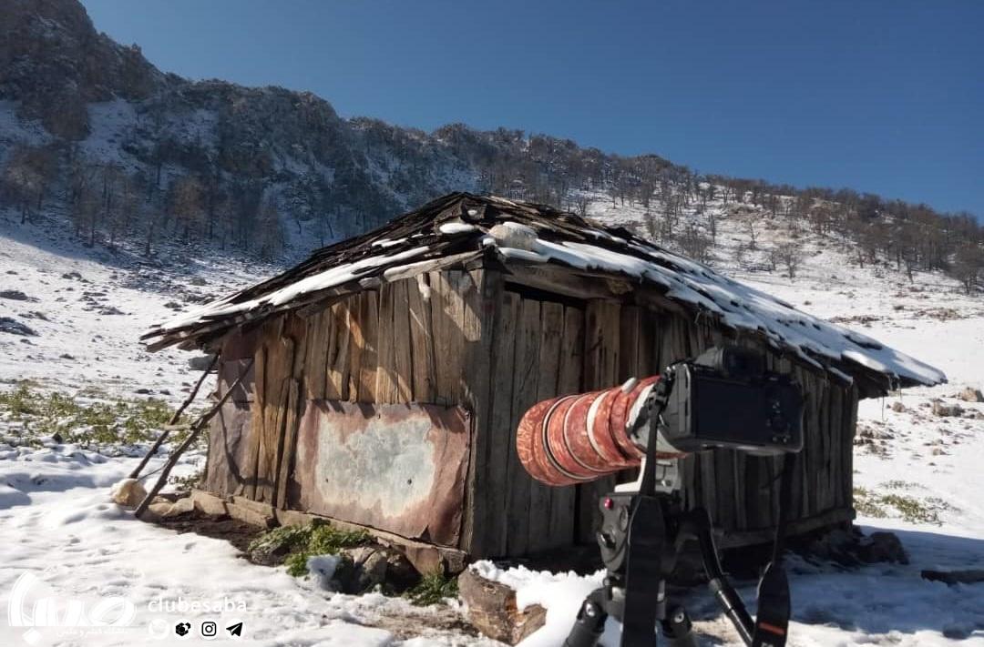 نیمرخ شمالی البرز
