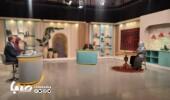 آغاز پخش فصل دوم «کار خونه» از شبکه دو