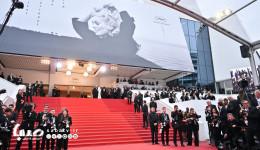 مدیر جشنواره کن مرگ سالن‌های سینماها را اعلام کرد