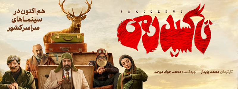 تاکسیدرمی